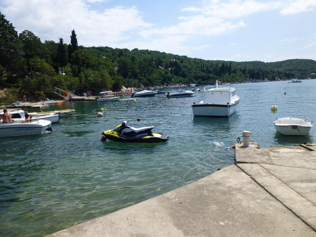 Apartments Villa Rosmarin Omišalj Екстериор снимка